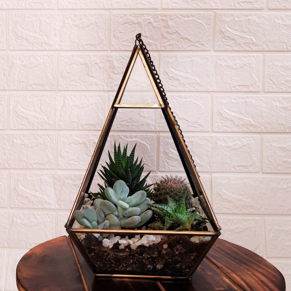 How to plant a terrarium - Gardens Illustrated